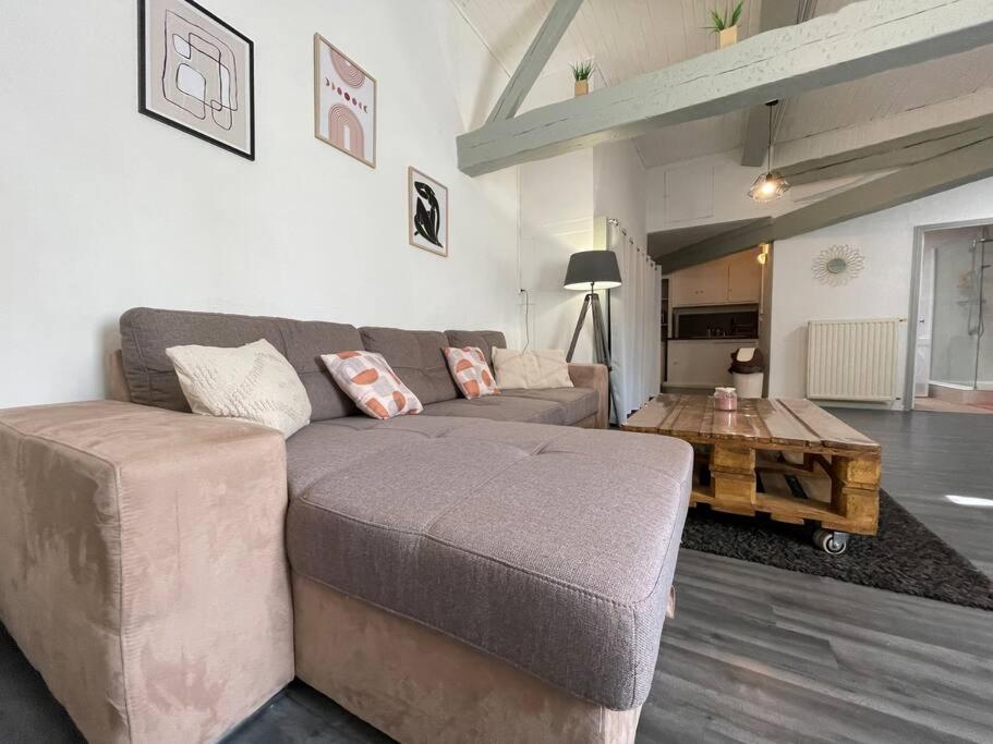 L'Appartement Marceau - 55M2 - Carcassonne Centre Esterno foto